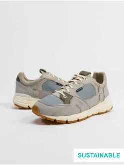 Sneaker Poplar In Grün